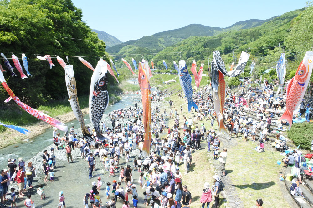 寄にある中津川で鯉のぼりが空を泳ぐ