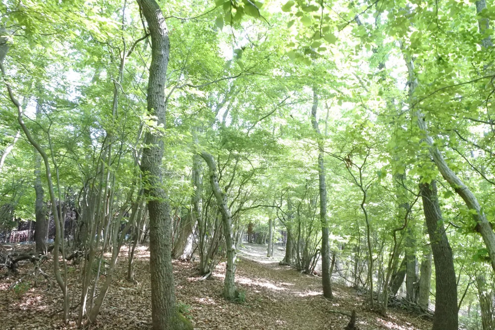 宮地山登山口に到着