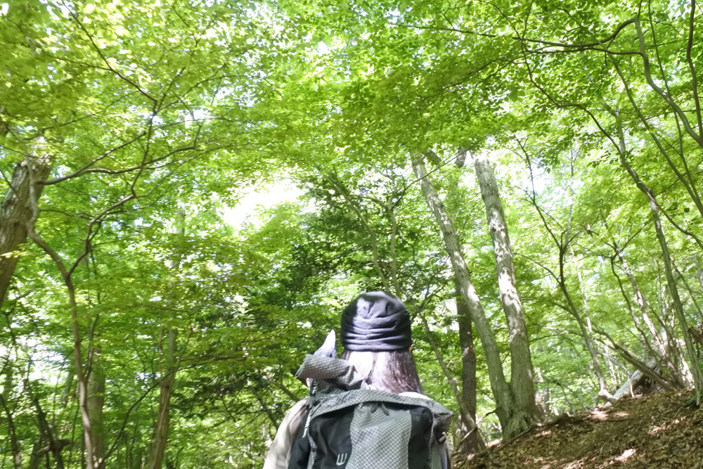 宮地山を目指して、気持ちのいい山道を歩く