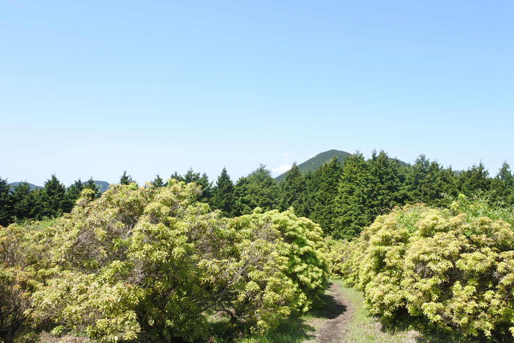 シダンゴ山頂上へ!寄の集落と丹沢の山々を眺める