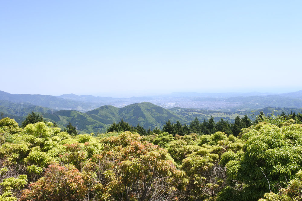シダンゴ山頂上