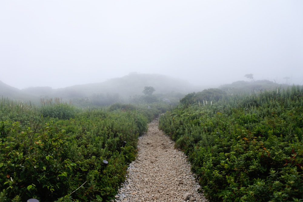 【要注意】登山は誰もが健康によいわけではない