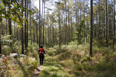 ひとりでハイキングに行くのが不安。安全にハイキングを楽しむための基礎知識