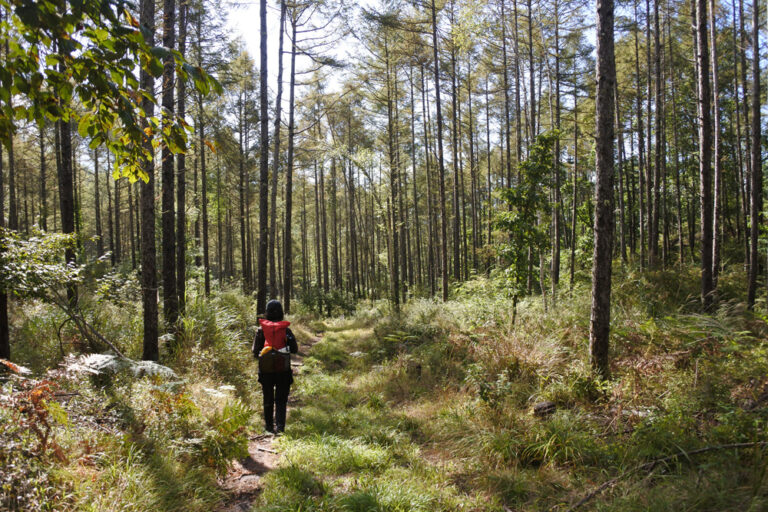 ひとりでハイキングに行くのが不安。安全にハイキングを楽しむための基礎知識