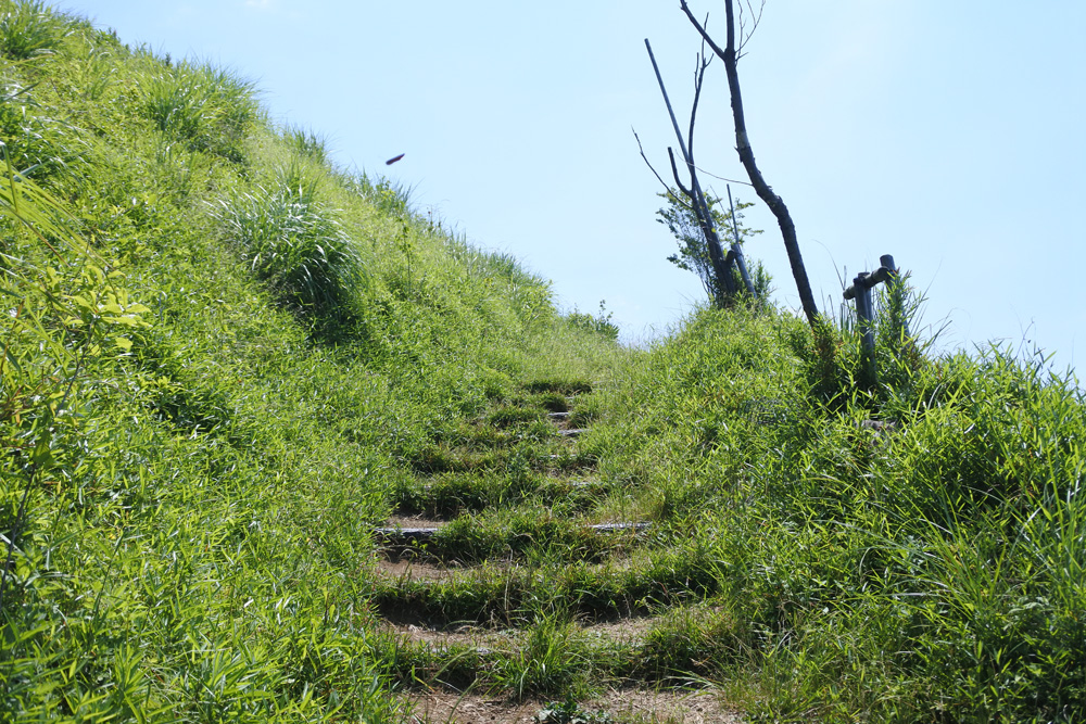 初めてのおひとりハイキング