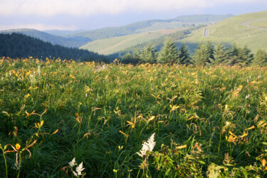 登山は季節ごとに変化する。春夏秋冬の魅力を知り日本の自然を味わおう！