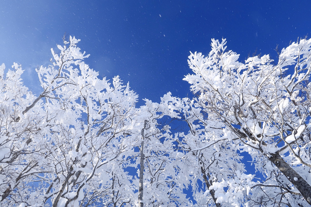 冬山は命に関わるリスクが高い。経験と装備が必要