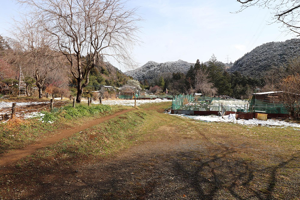 ユガテ、越上(おがみ)山、顔振峠(かあぶりとうげ)