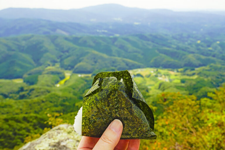 夏の登山でおにぎりは腐る？暑い時季でも安全な持ち運び方とおすすめ具材を紹介