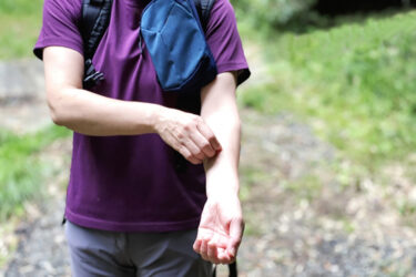 登山の虫よけ対策に効果的な成分は？ディートやイカリジンの成分の違いや虫対策グッズを紹介