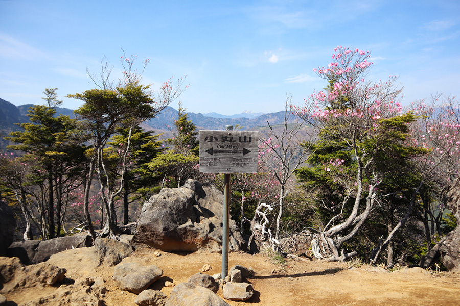 小丸山(小袈裟) / 標高1,676m