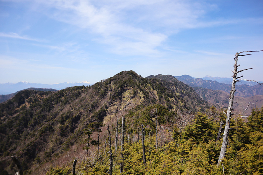 前袈裟丸山 / 標高1,878m