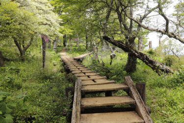 【檜洞丸】西丹沢の秘境を巡る日帰り登山！アクセスと難易度、絶景ポイントを紹介