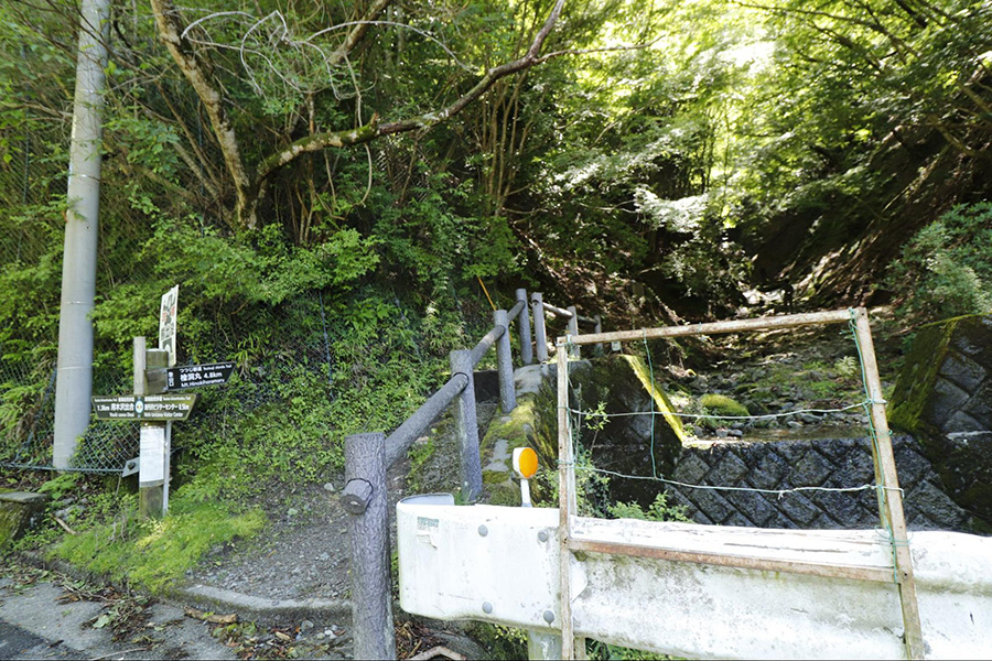 西丹沢ビジターセンター～ツツジ新道入口～ゴーラ沢出合