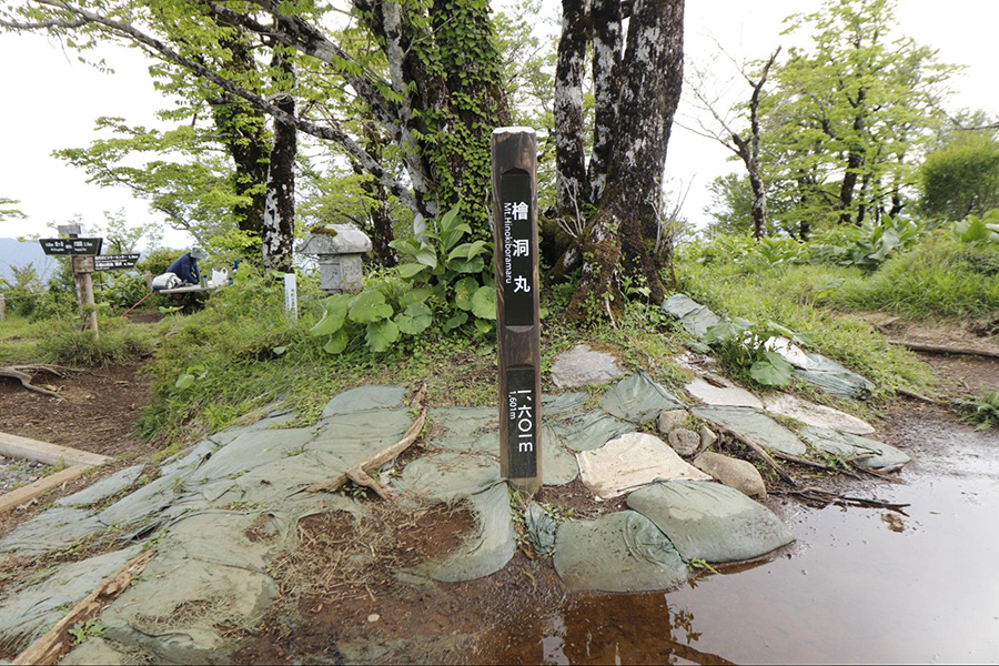 檜洞丸の山頂