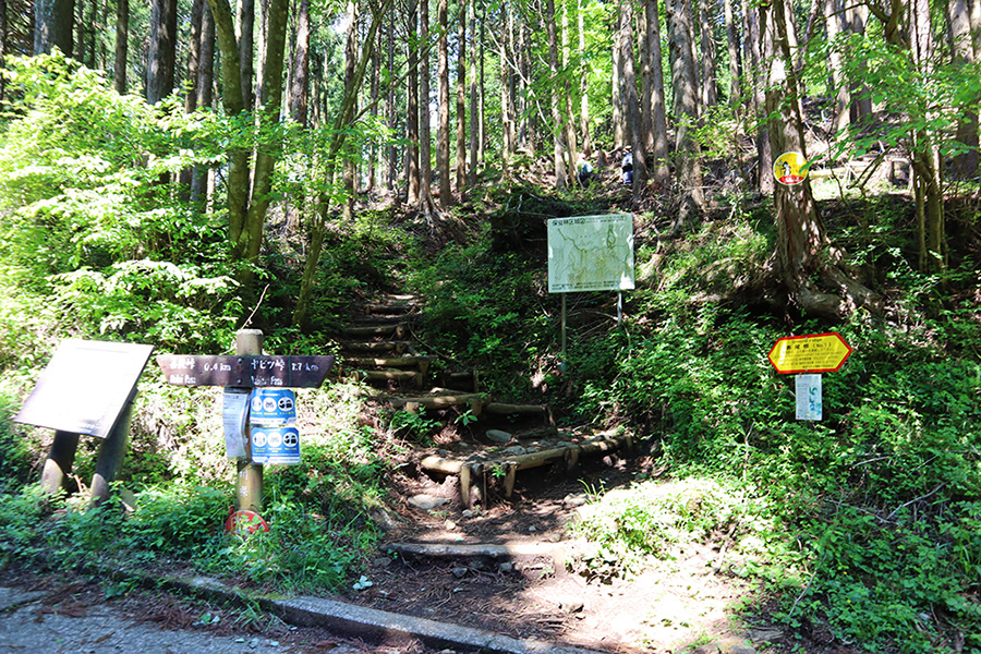 表尾根登山口