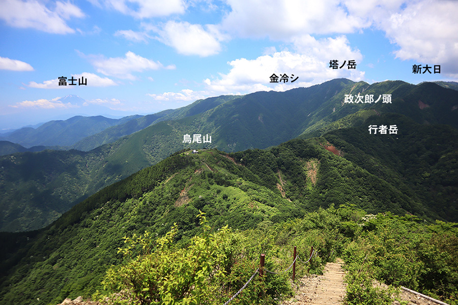 塔ノ岳への稜線