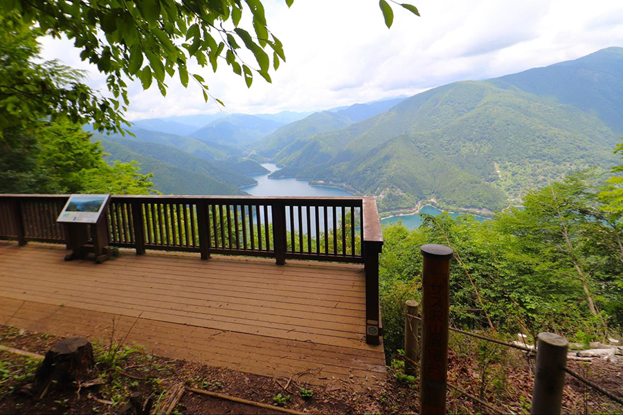 サス沢山