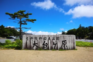 【大台ヶ原】豊かな自然と見どころ満載の東大台ハイキングコースを歩く