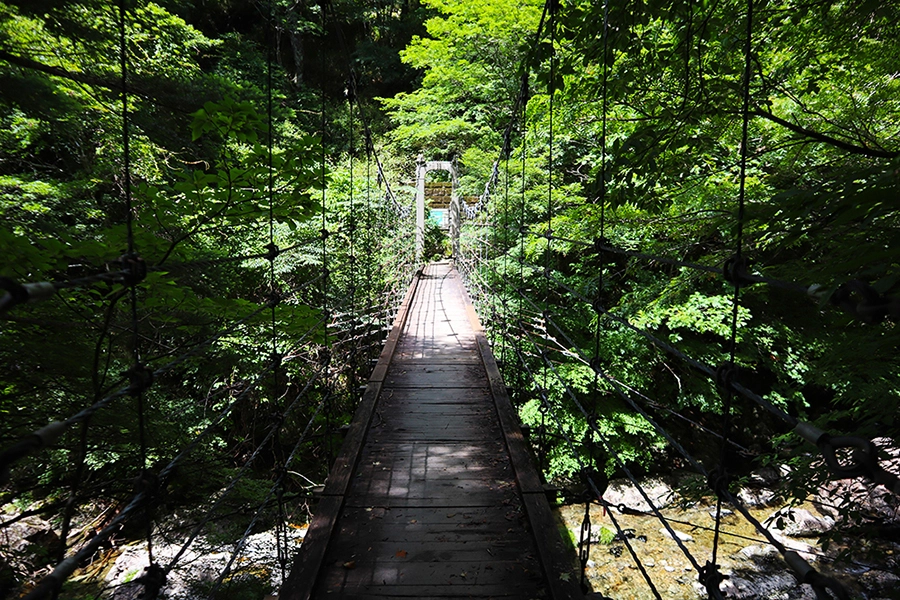 シオカラ吊橋 / 標高1,420m