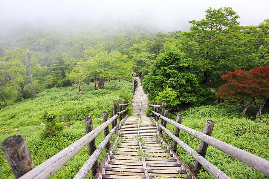 展望台から日出ヶ岳まで