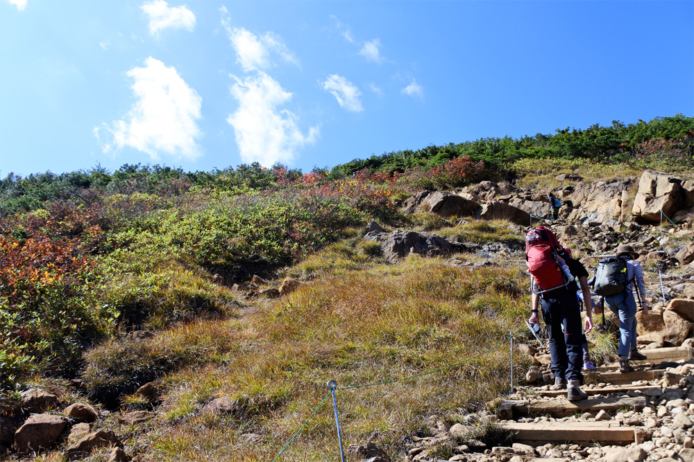 登山やアウトドアに手ぬぐいが好まれる理由