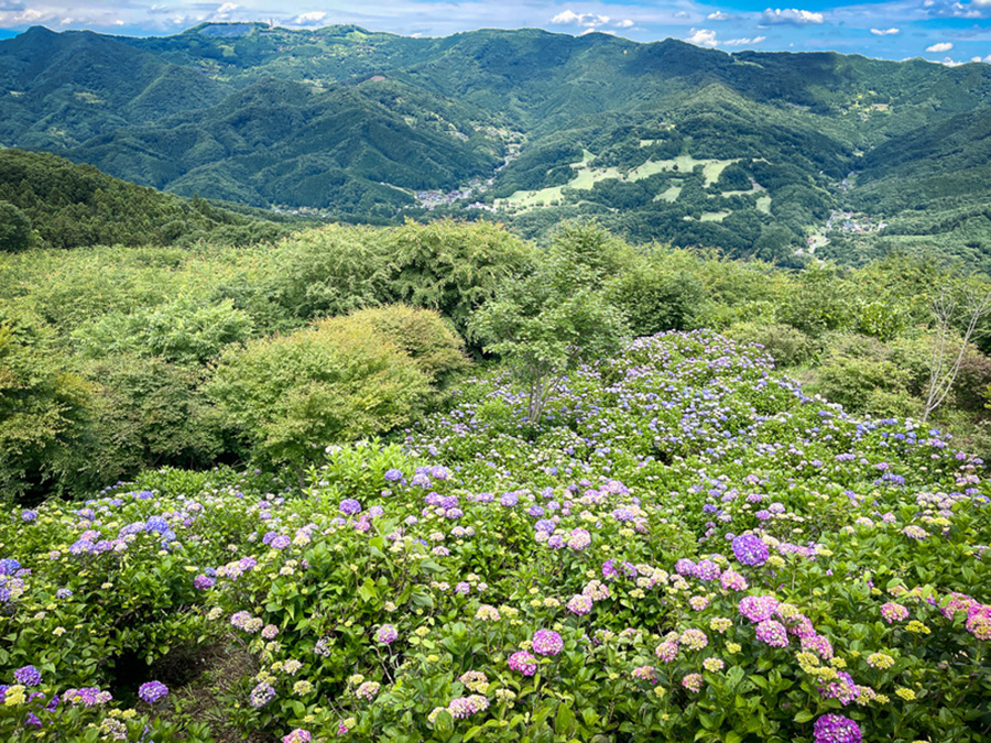 美の山（蓑山）ハイキング