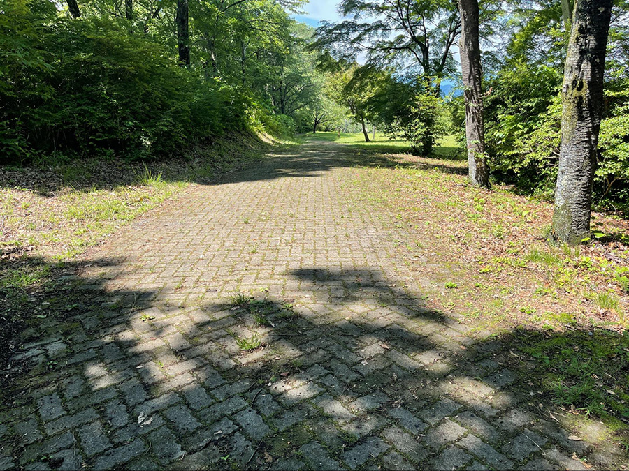 美の山（蓑山）ハイキング