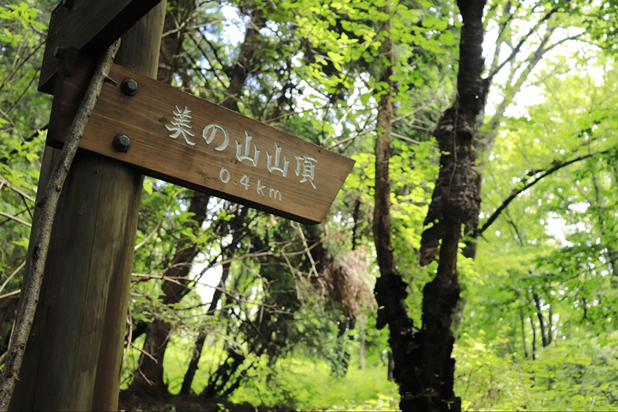 美の山（蓑山）ハイキング