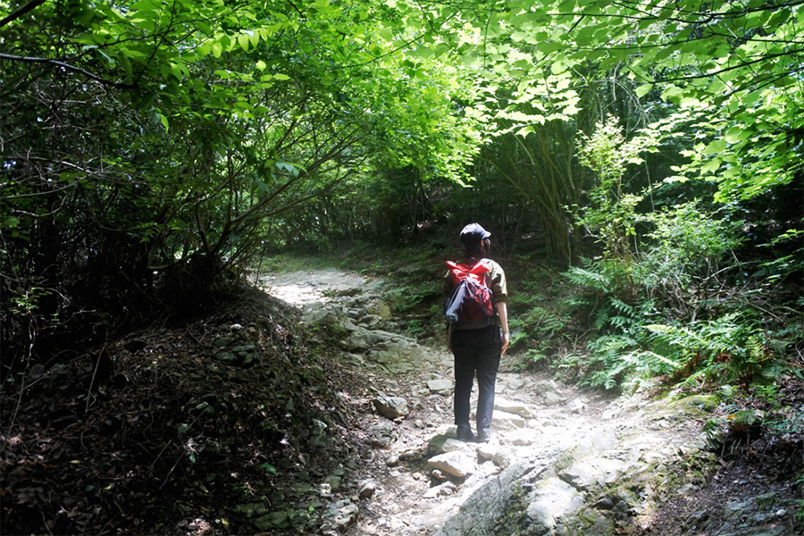 朝熊山登山