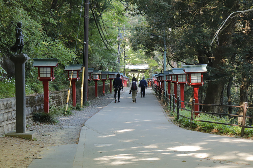 【南高尾セブンサミッツ】南高尾山稜の7つのピークを周回するロングトレイル！