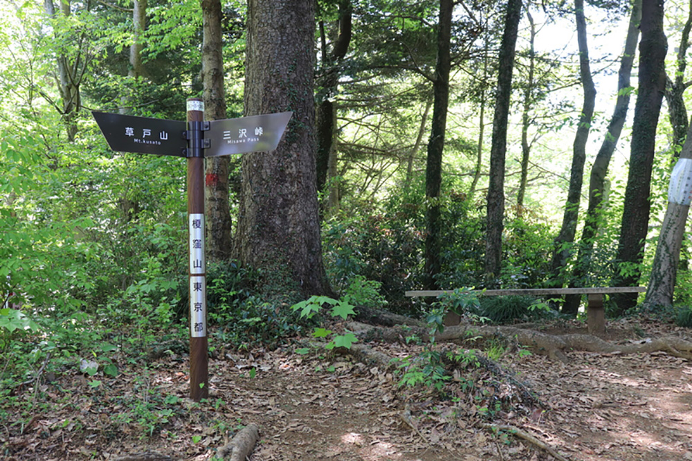 【南高尾セブンサミッツ】南高尾山稜の7つのピークを周回するロングトレイル！