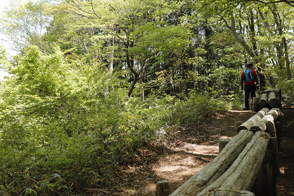 【南高尾セブンサミッツ】南高尾山稜の7つのピークを周回するロングトレイル！