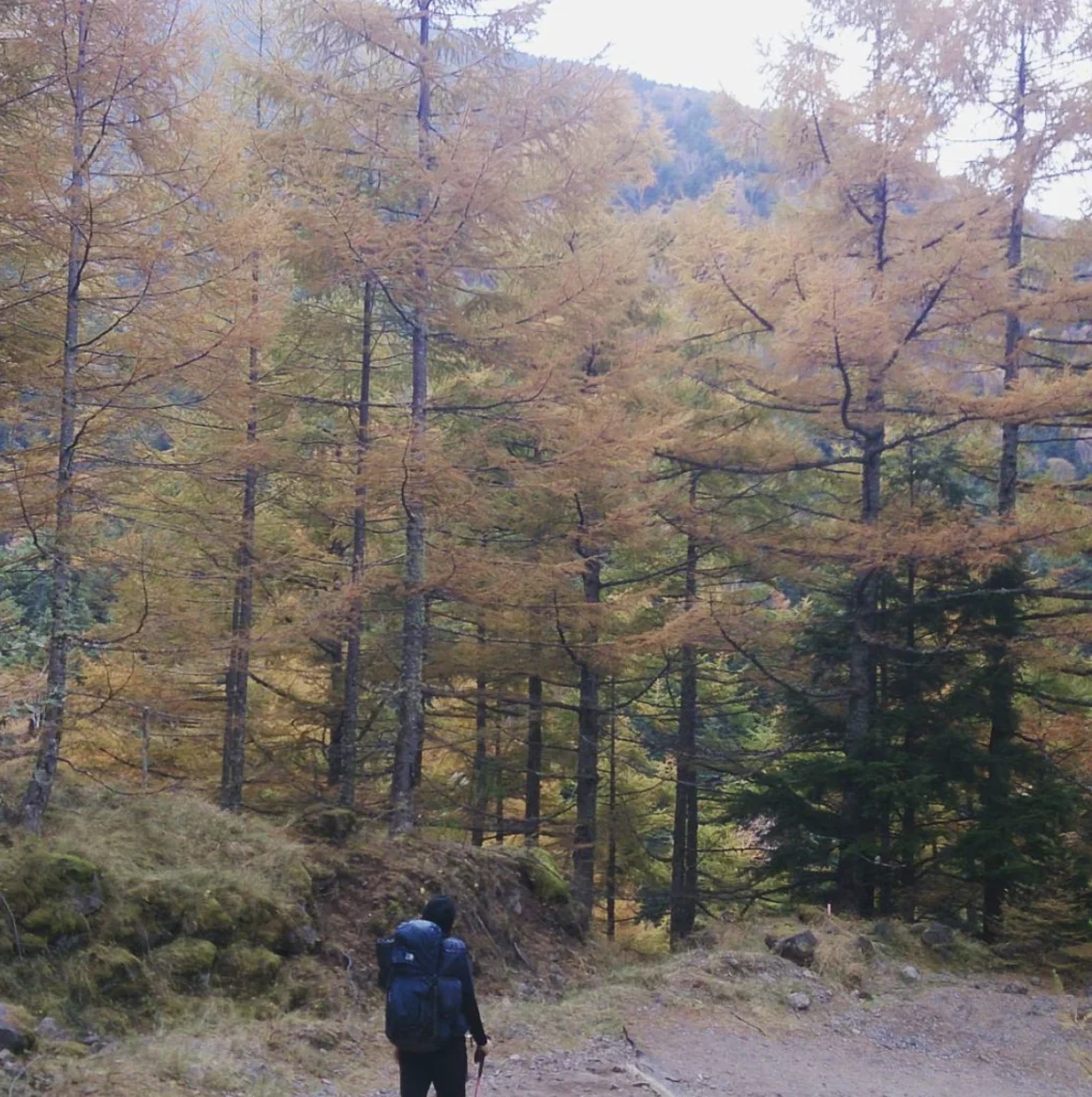 硫黄岳の主要コース