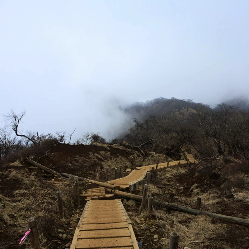塔ノ岳の主要コース