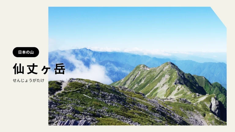 仙丈ヶ岳（せんじょうがたけ）｜南アルプスの女王「仙丈ヶ岳」花と雷鳥がお出迎え