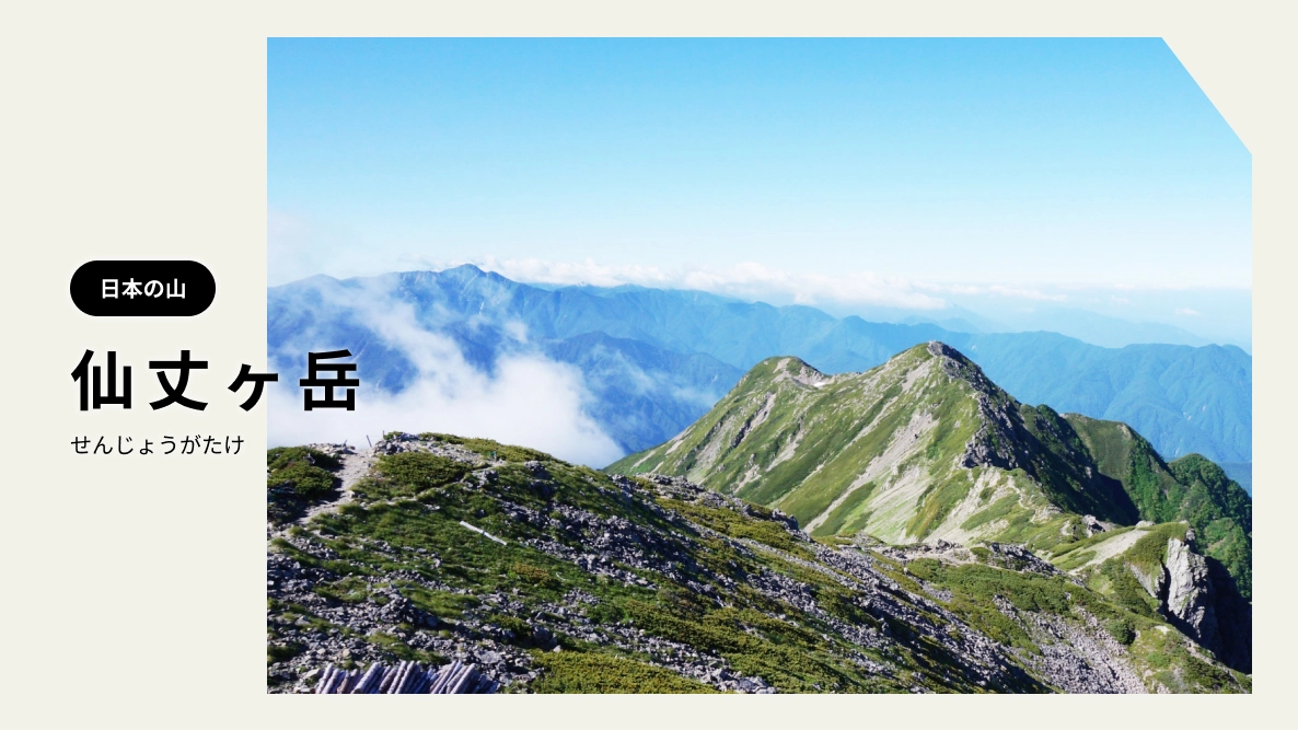 仙丈ヶ岳（せんじょうがたけ）｜南アルプスの女王「仙丈ヶ岳」花
